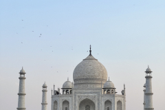 Taj2